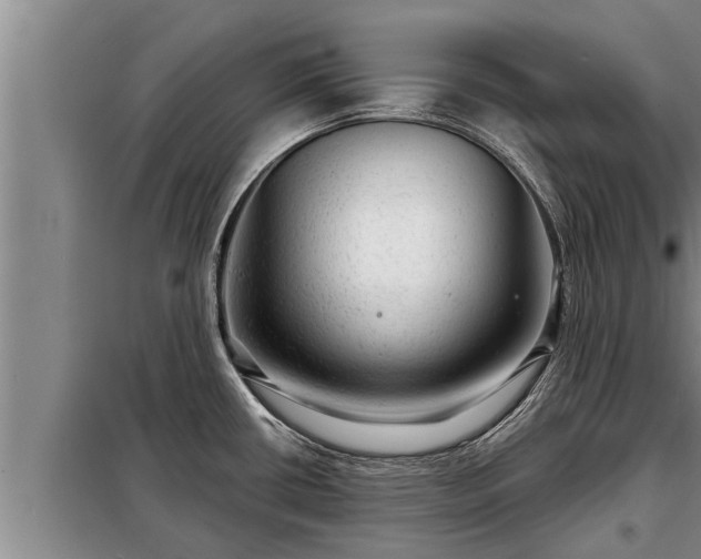 X0000098171434200805011003