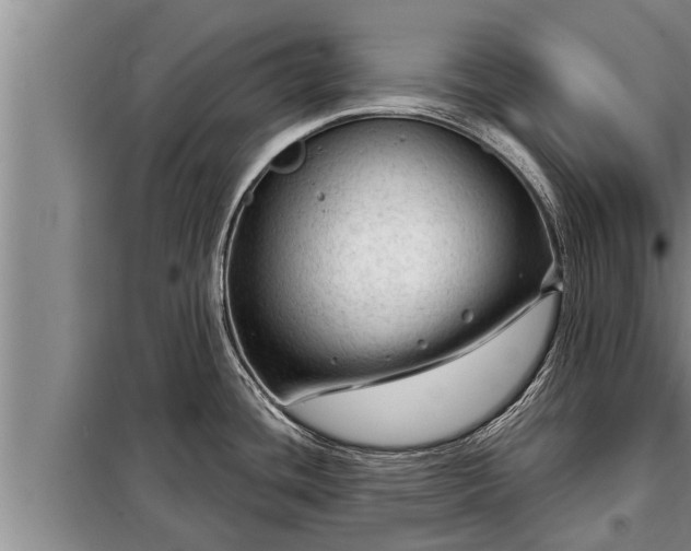 X0000098171436200805011003