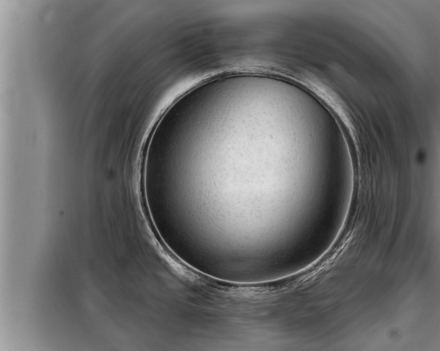 X0000098171437200805011003