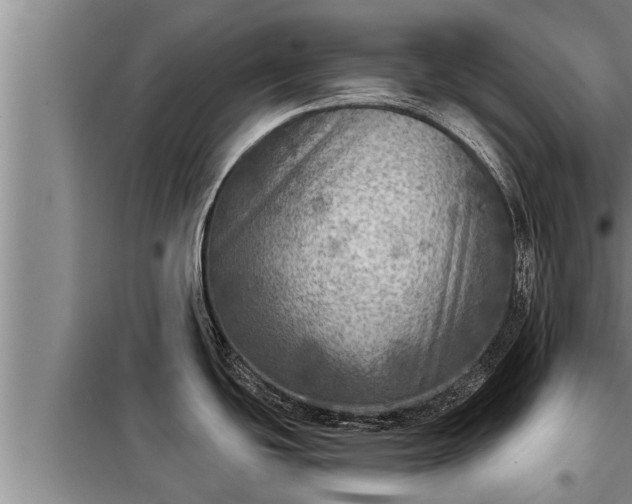 X0000098171439200805011003