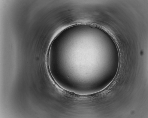 X0000098171440200805011003