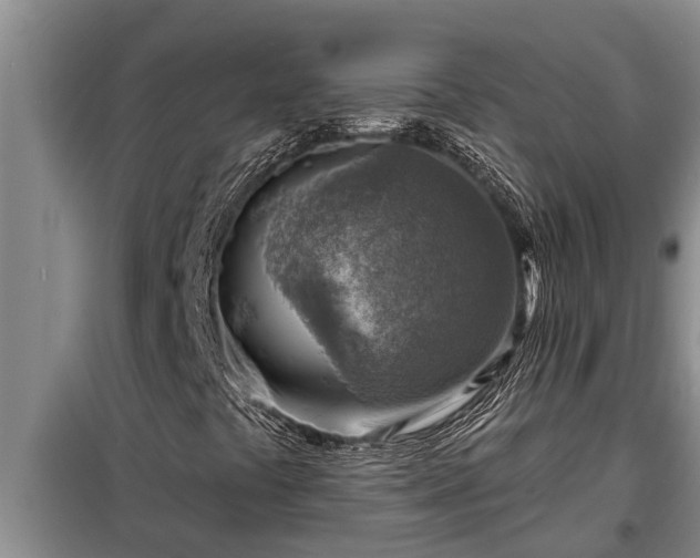 X0000098171441200805011003