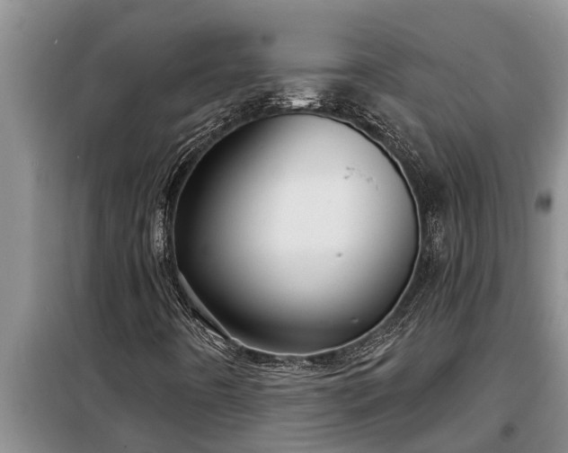 X0000098171442200805011003