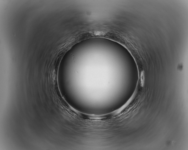 X0000098171443200805011003