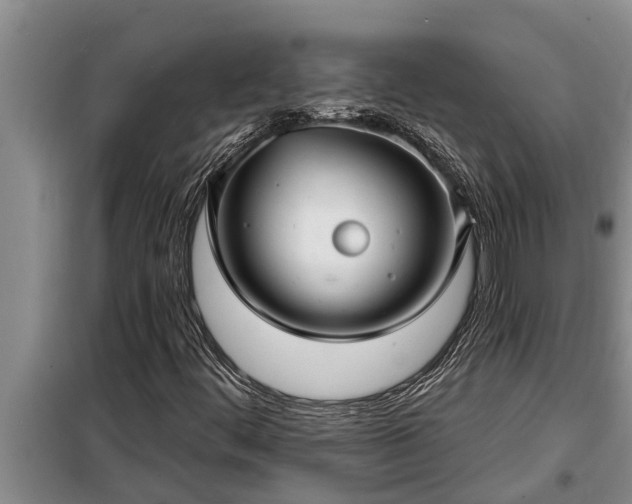 X0000098171444200805011003