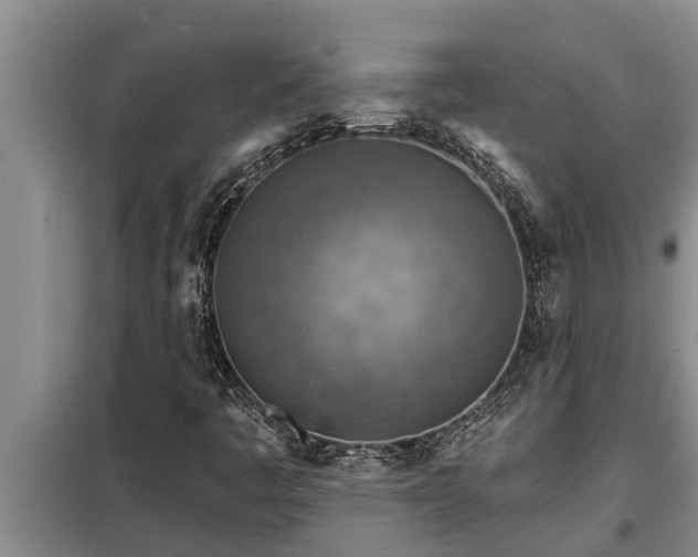 X0000098171445200805011003