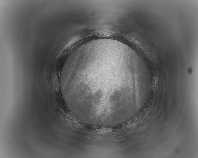 X0000098171446200805011003