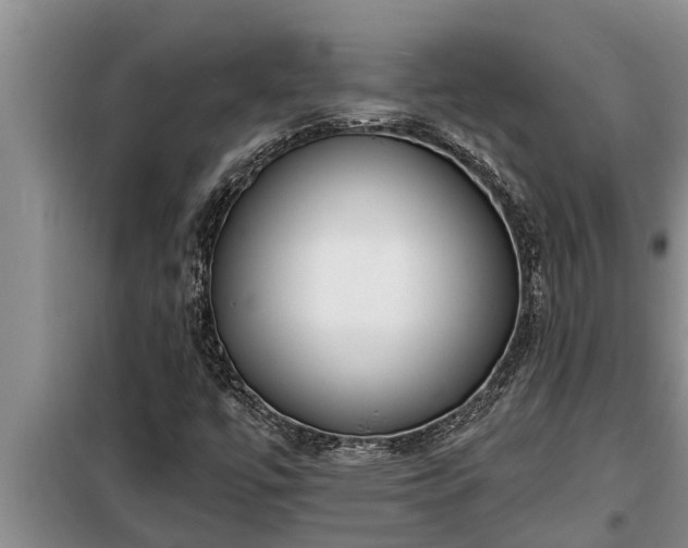 X0000098171447200805011003