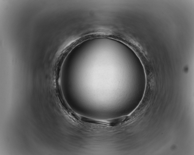 X0000098171448200805011002