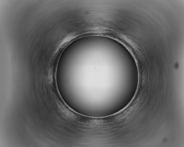 X0000098171451200805011002