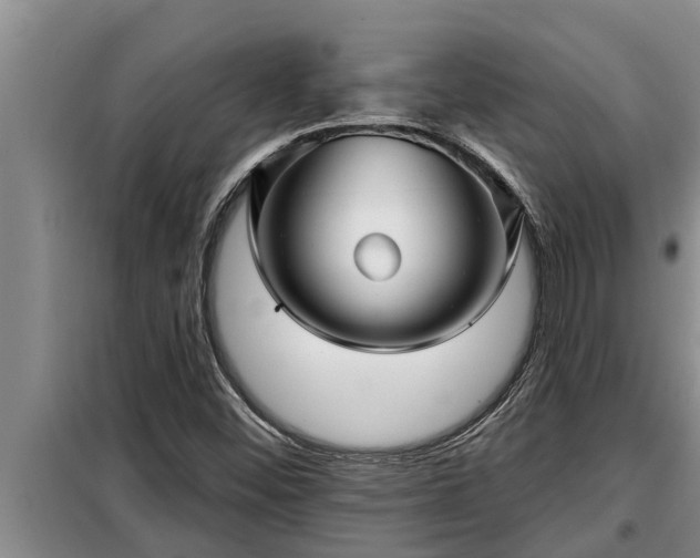 X0000098171452200805011002