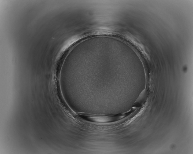 X0000098171453200805011002