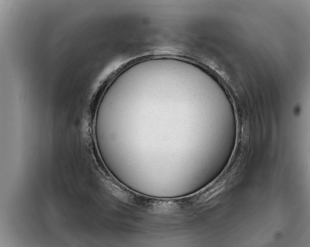 X0000098171454200805011002