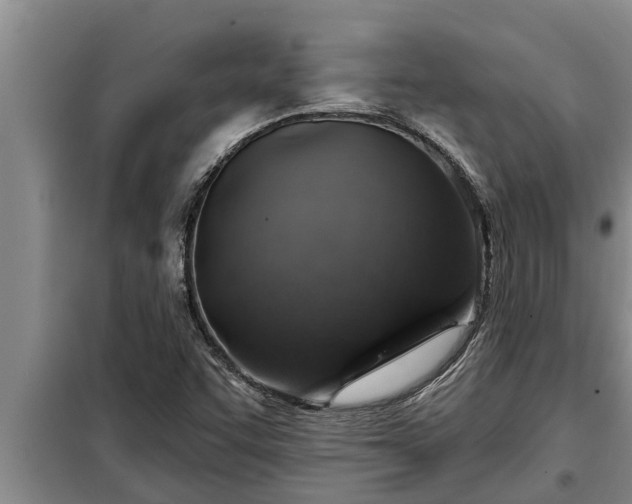 X0000098171455200805011002