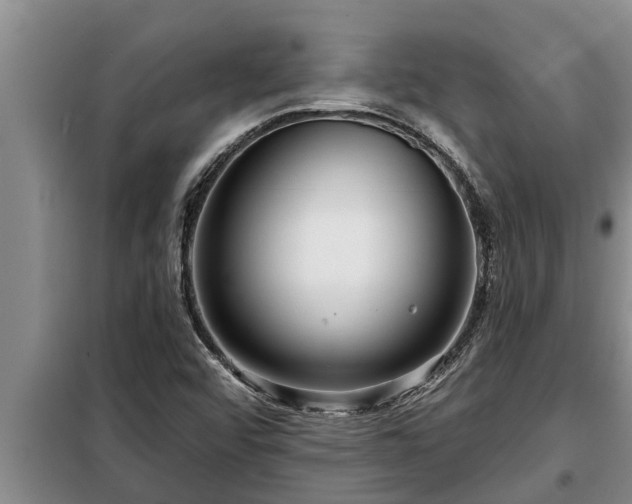 X0000098171456200805011002