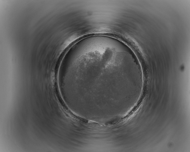 X0000098171457200805011002