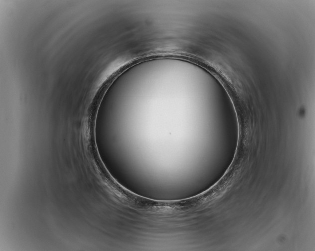 X0000098171458200805011002