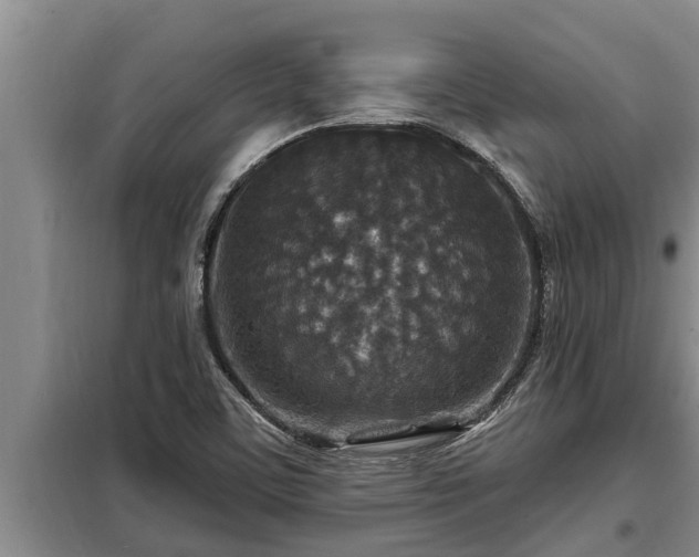 X0000098171459200805011002