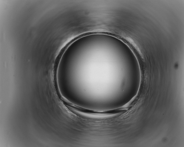 X0000098171460200805011002