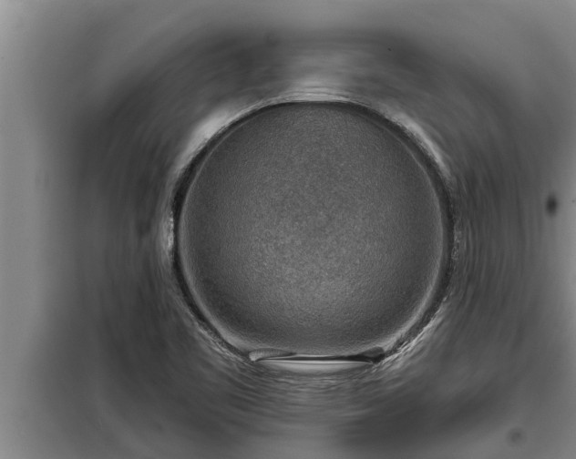 X0000098171461200805011002