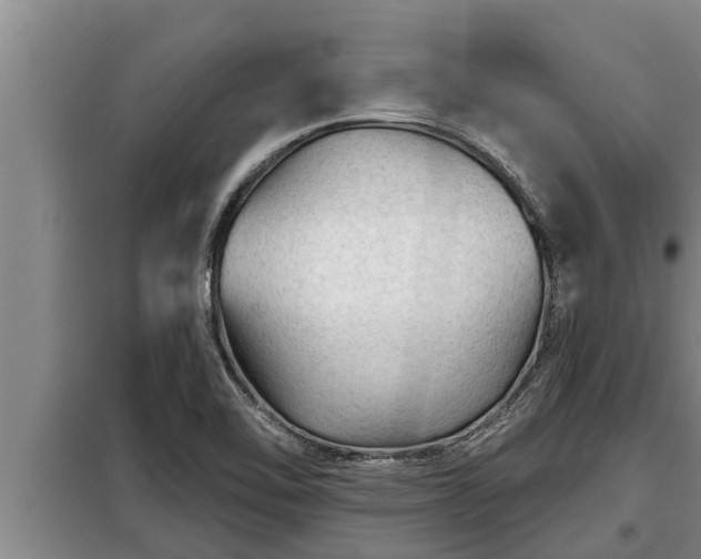 X0000098171462200805011002