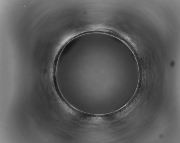 X0000098171463200805011002