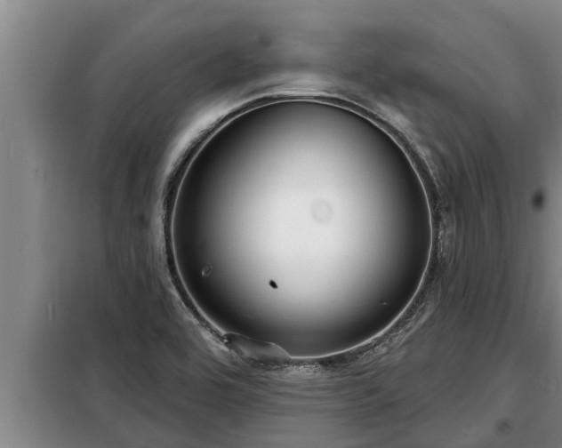 X0000098171464200805011002