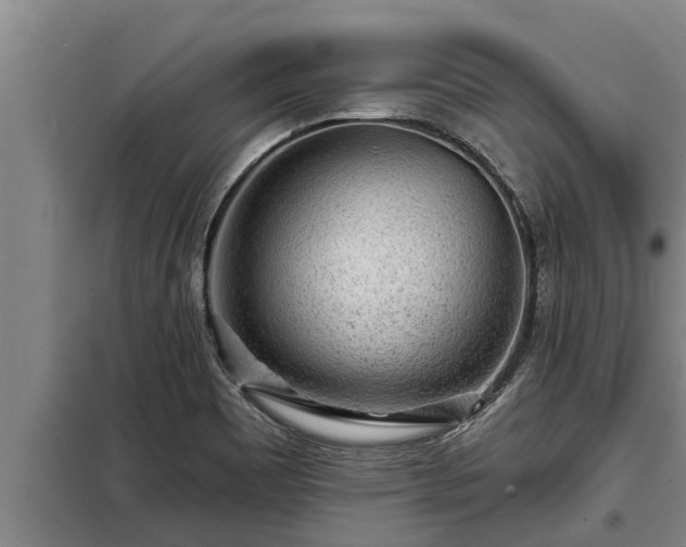 X0000098171465200805011002