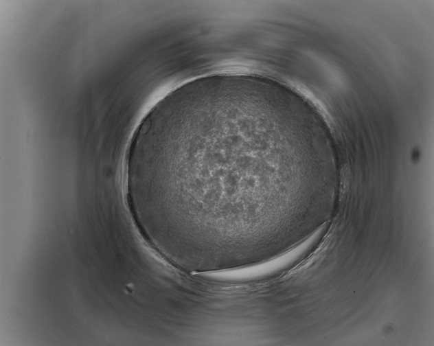 X0000098171467200805011002