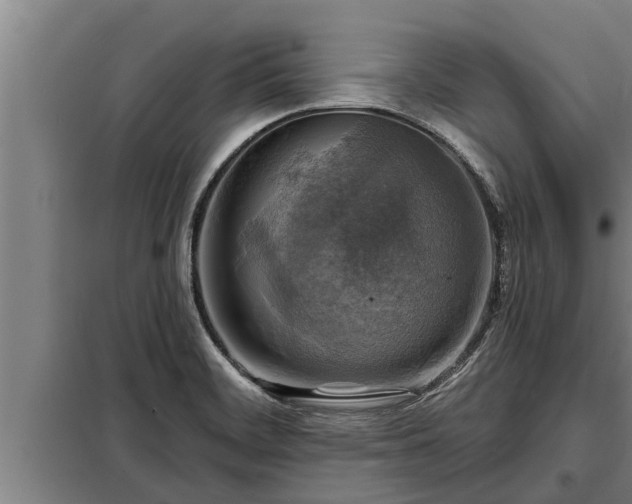 X0000098171468200805011002