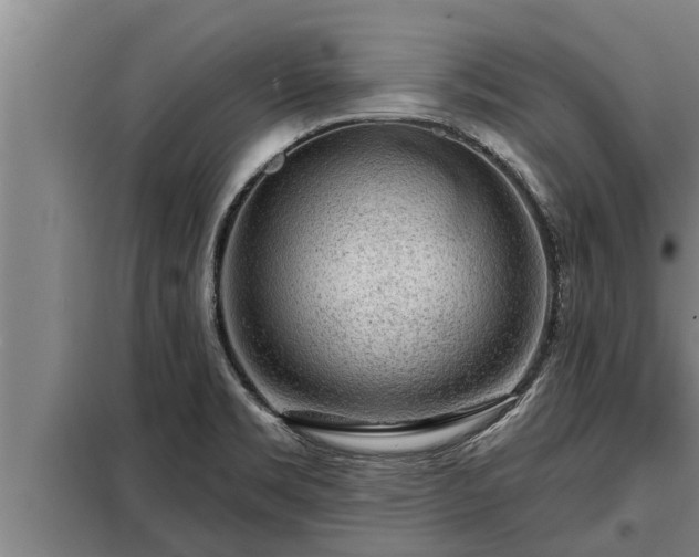 X0000098171469200805011002