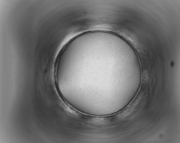 X0000098171470200805011002