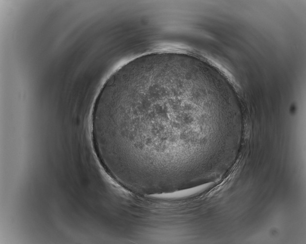 X0000098171471200805011002