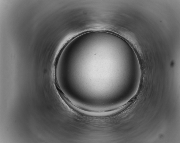 X0000098171472200805011002