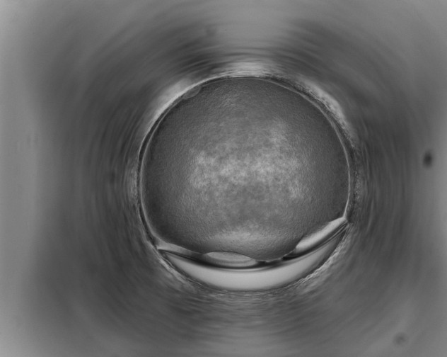 X0000098171473200805011002