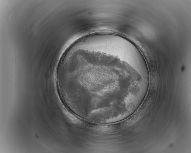 X0000098171474200805011002