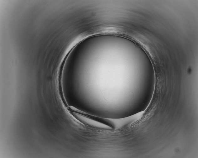 X0000098171475200805011002