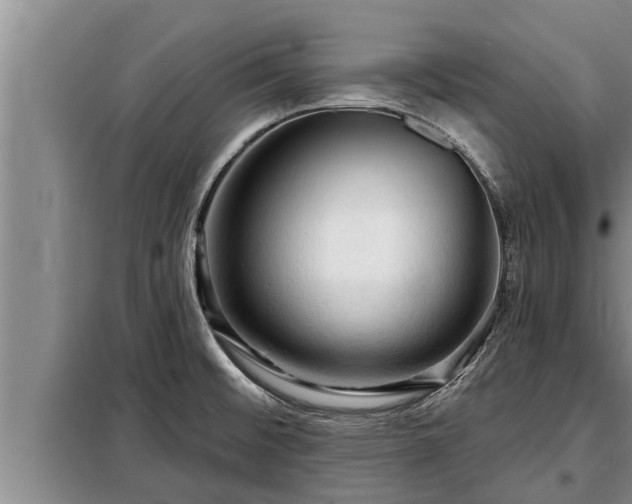 X0000098171476200805011002