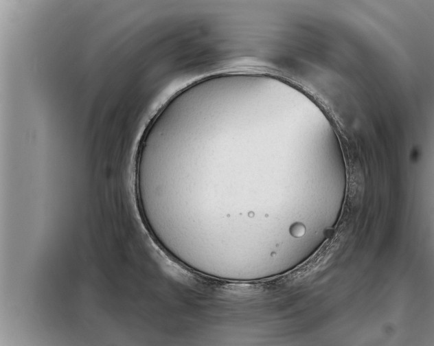 X0000098171478200805011002