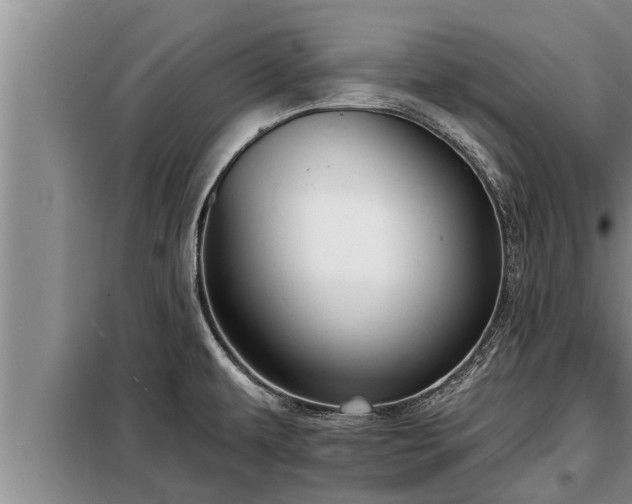 X0000098171479200805011002