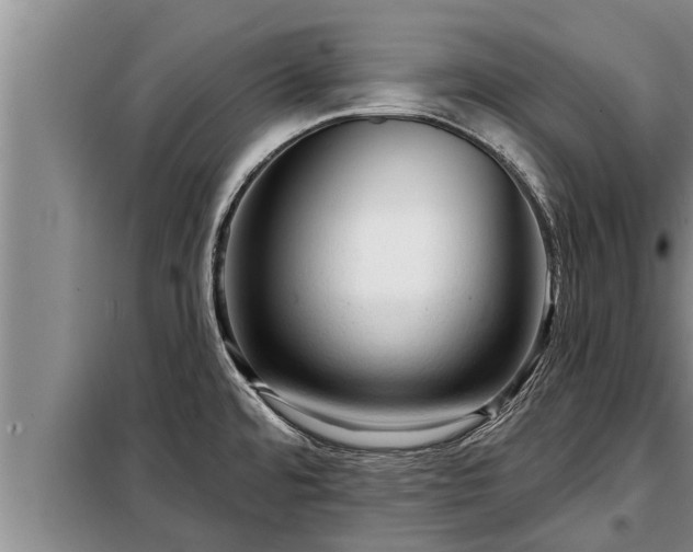 X0000098171480200805011002