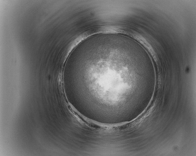 X0000098171481200805011002