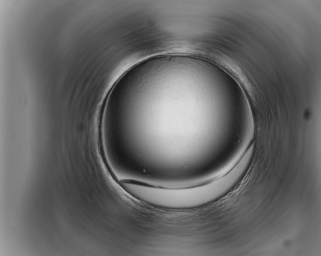 X0000098171483200805011002