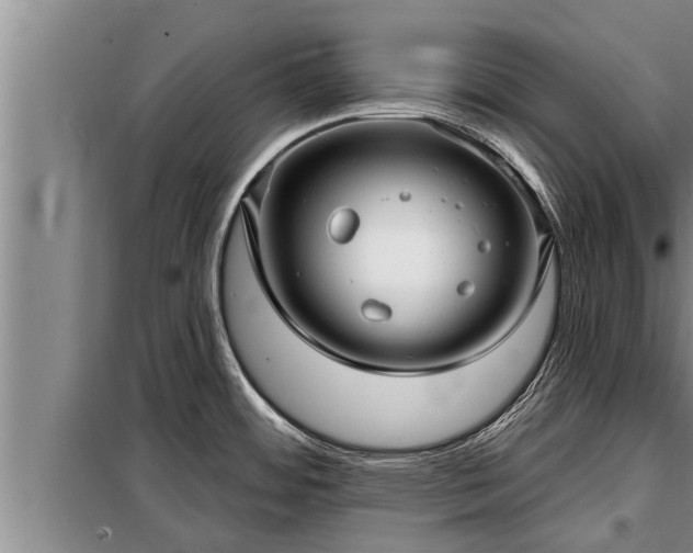 X0000098171484200805011002