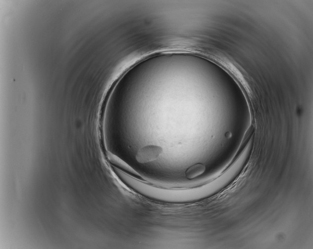 X0000098171485200805011002