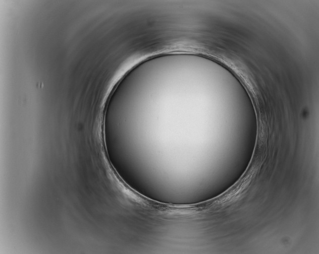 X0000098171486200805011002