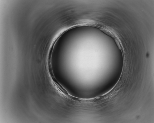 X0000098171488200805011002