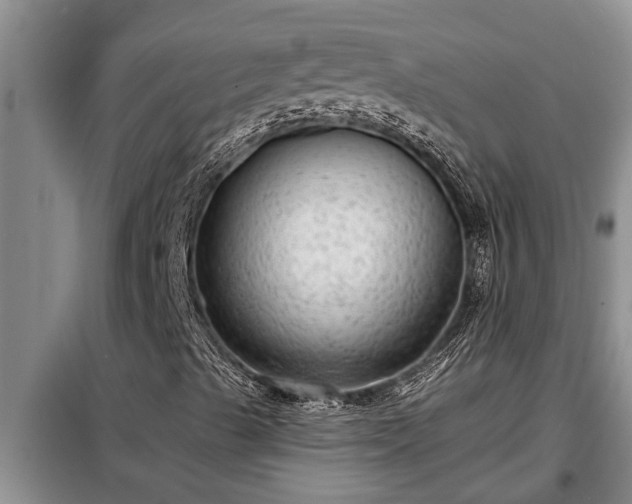 X0000098171489200805011001