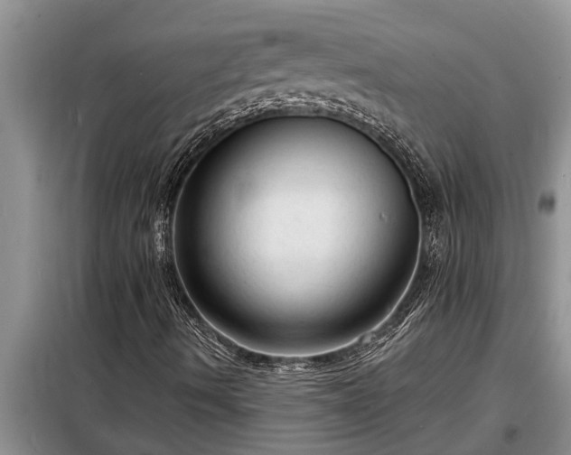 X0000098171490200805011001