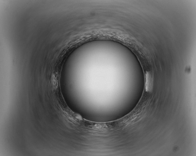 X0000098171491200805011001